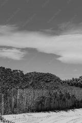 preview bw