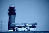 preview cold