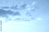 preview cold