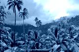 preview cold