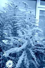 preview cold