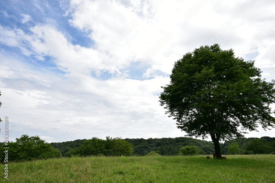 image to crop
