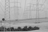 preview bw