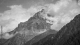 preview bw