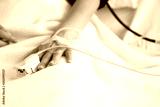 preview sephia