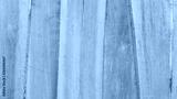 preview cold