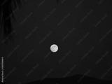 preview bw