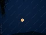 preview original