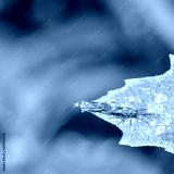 preview cold