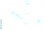 preview cold