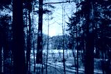 preview cold