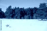 preview cold