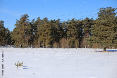 image to crop