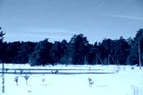 preview cold