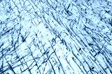 preview cold