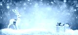 preview cold