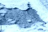 preview cold