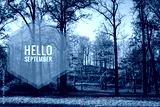 preview cold