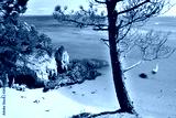 preview cold