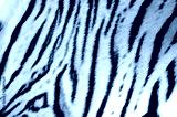 preview cold