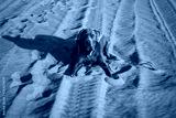 preview cold