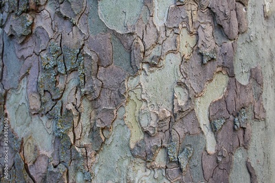 image to crop
