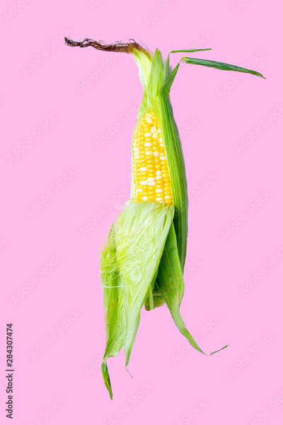 image to crop
