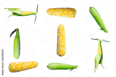 image to crop