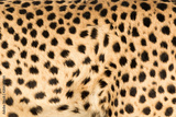 preview original
