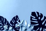 preview cold