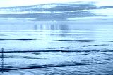 preview cold