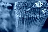 preview cold
