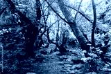 preview cold
