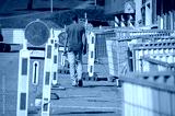 preview cold