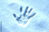 preview cold