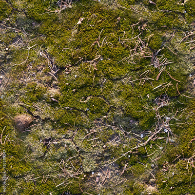 image to crop