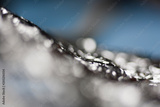 preview original