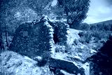 preview cold