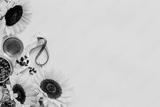 preview bw