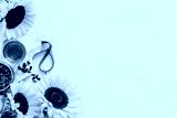 preview cold