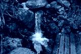 preview cold