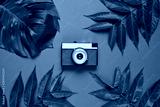 preview cold