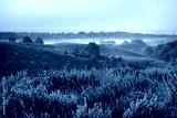 preview cold