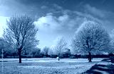 preview cold