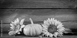 preview bw