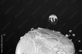 preview bw