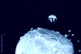 preview cold