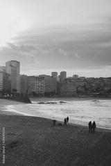preview bw