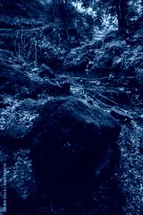 preview cold