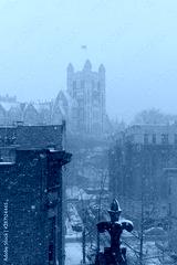 preview cold